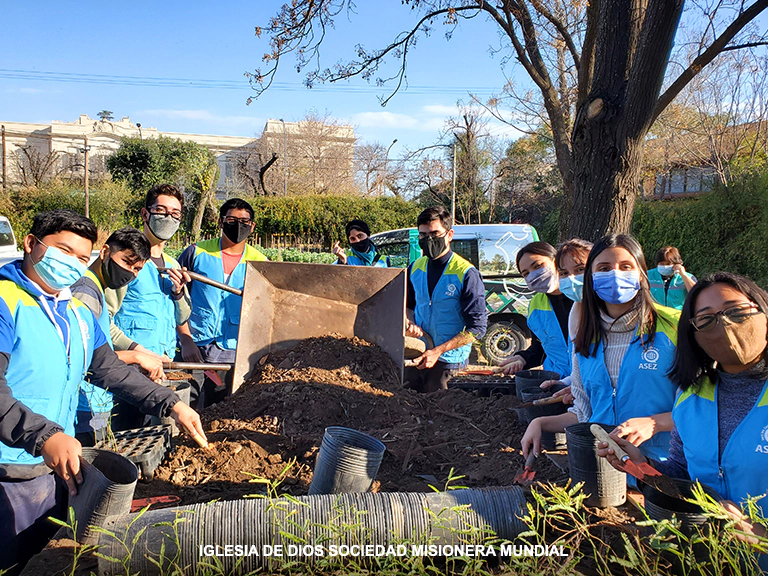 Plantacion de Arboles