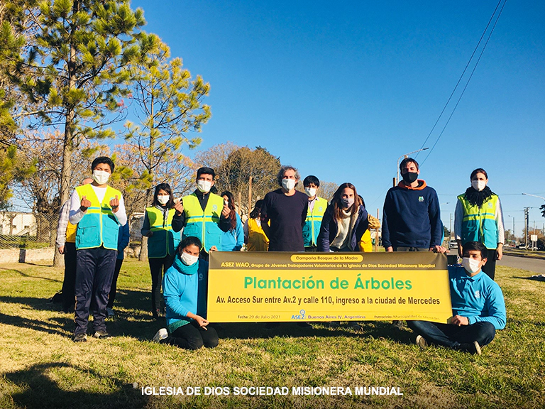 Plantacion de Arboles