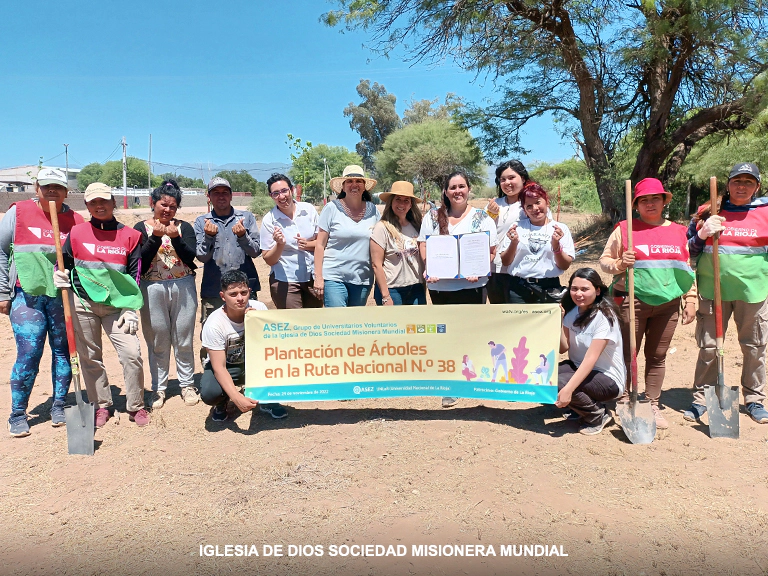 Plantacion de Arboles