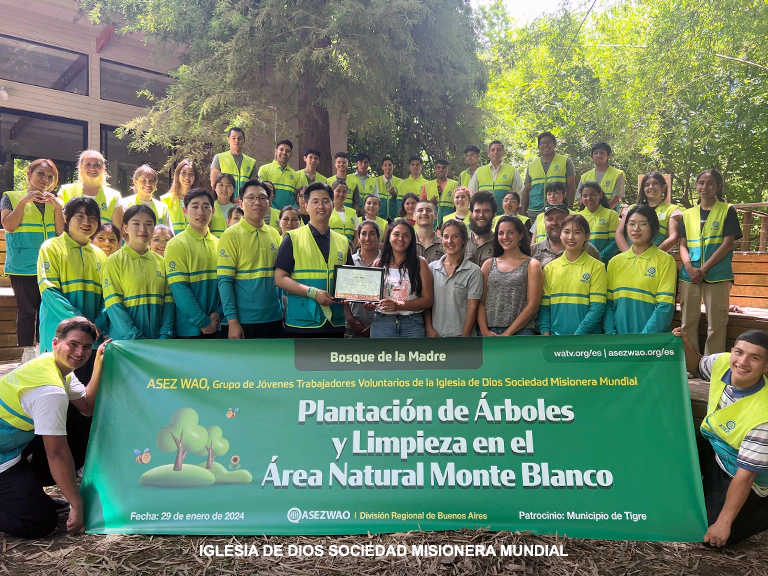 Plantacion de Arboles