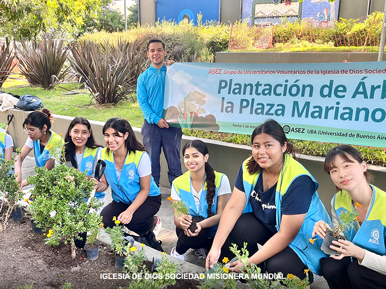 Plantacion de Arboles